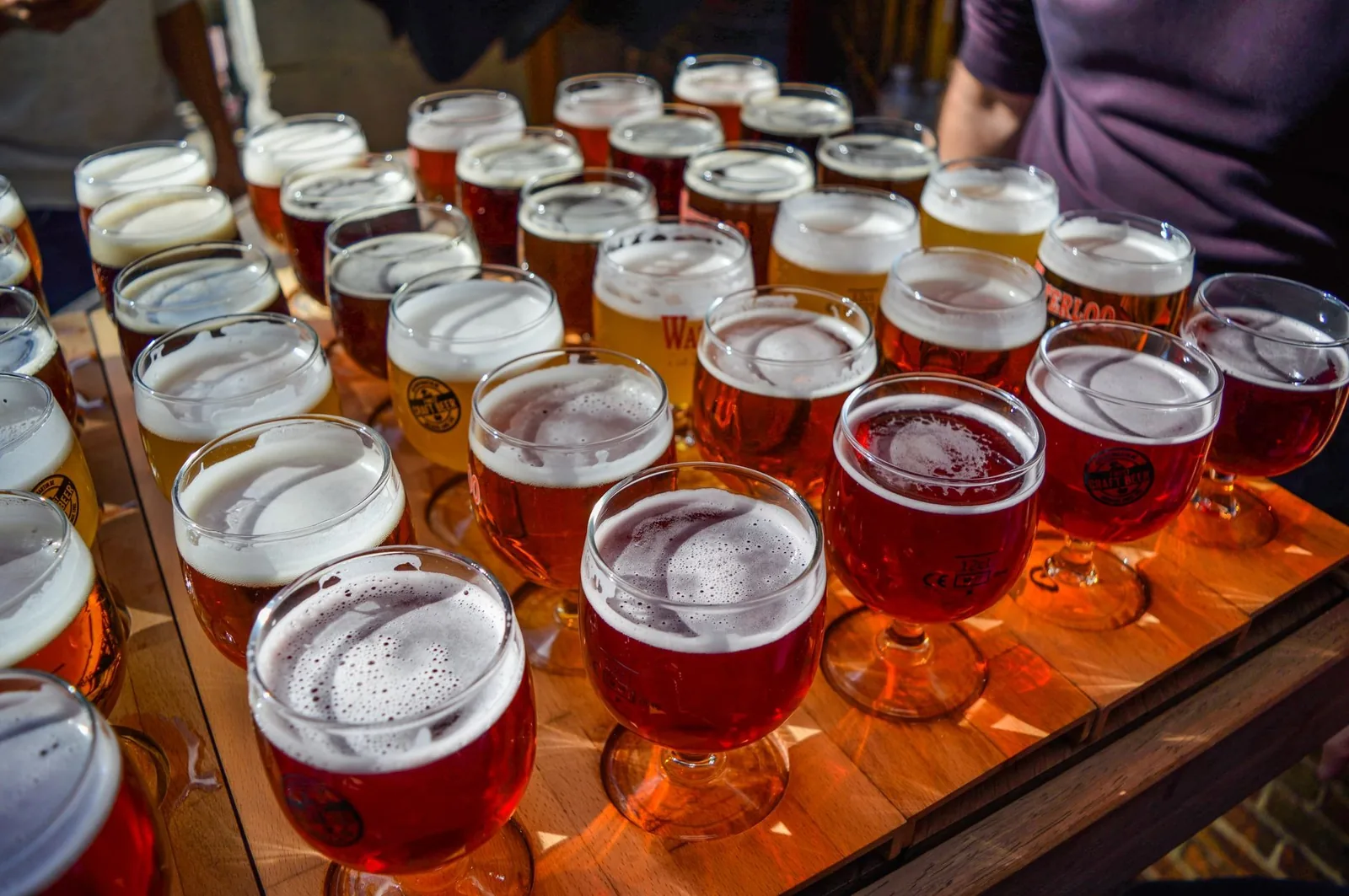 Plateau en bois garni de nombreux verres à pied remplis de bières belges ambrées, rousses et blondes sous leur mousse