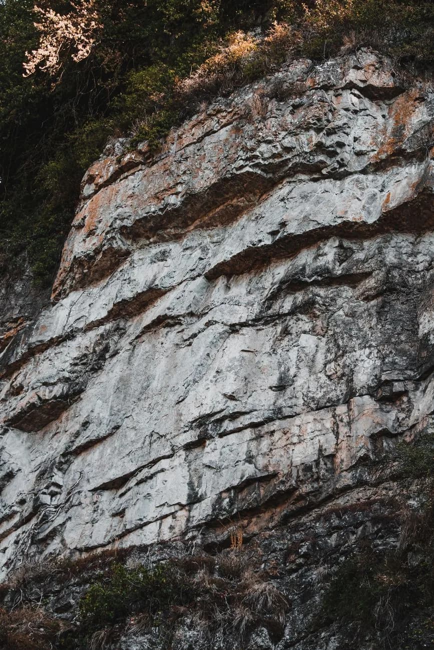 Falaise de calcaire clair dont les couches rocheuses sont inclinées et cassées, avec de la végétation sur la crête