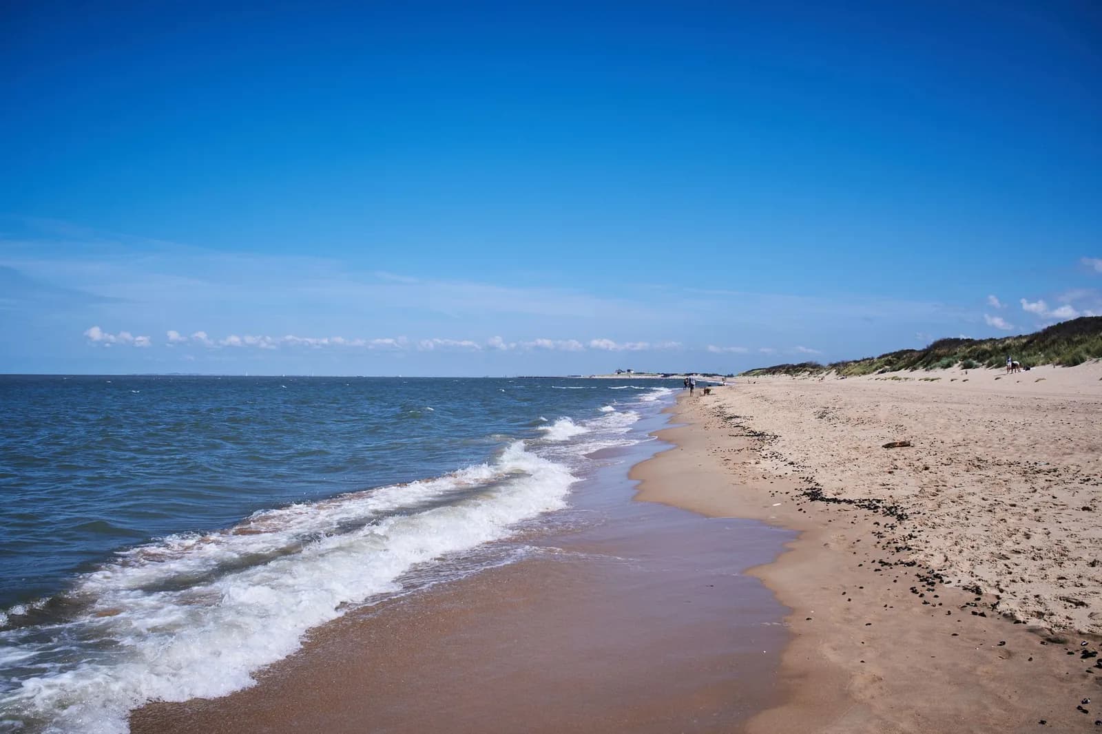 Longue plage de sable de Knokke-Heist bordée de dunes couvertes d'oyats, vagues de la mer du Nord sous un ciel bleu