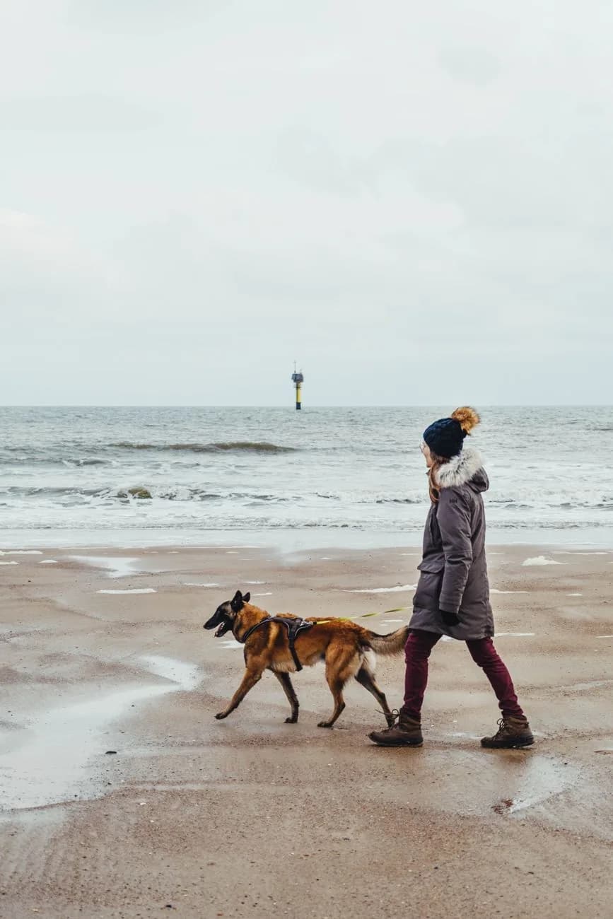 Une promeneuse en parka et bonnet marche avec un berger malinois sur la plage de Knokke-Heist par un jour d'hiver gris