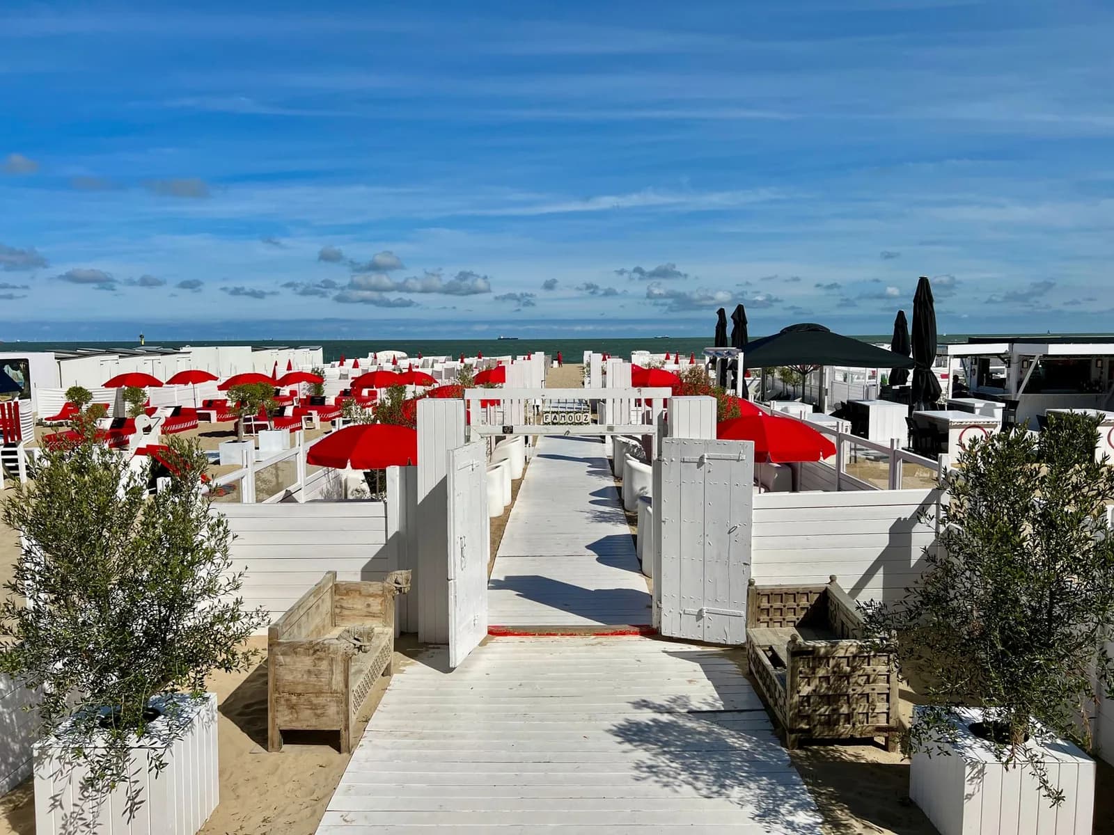 Allée de planches blanches menant à la mer à travers le club de plage Famouz, au Zoute, entre parasols rouges et oliviers en bacs