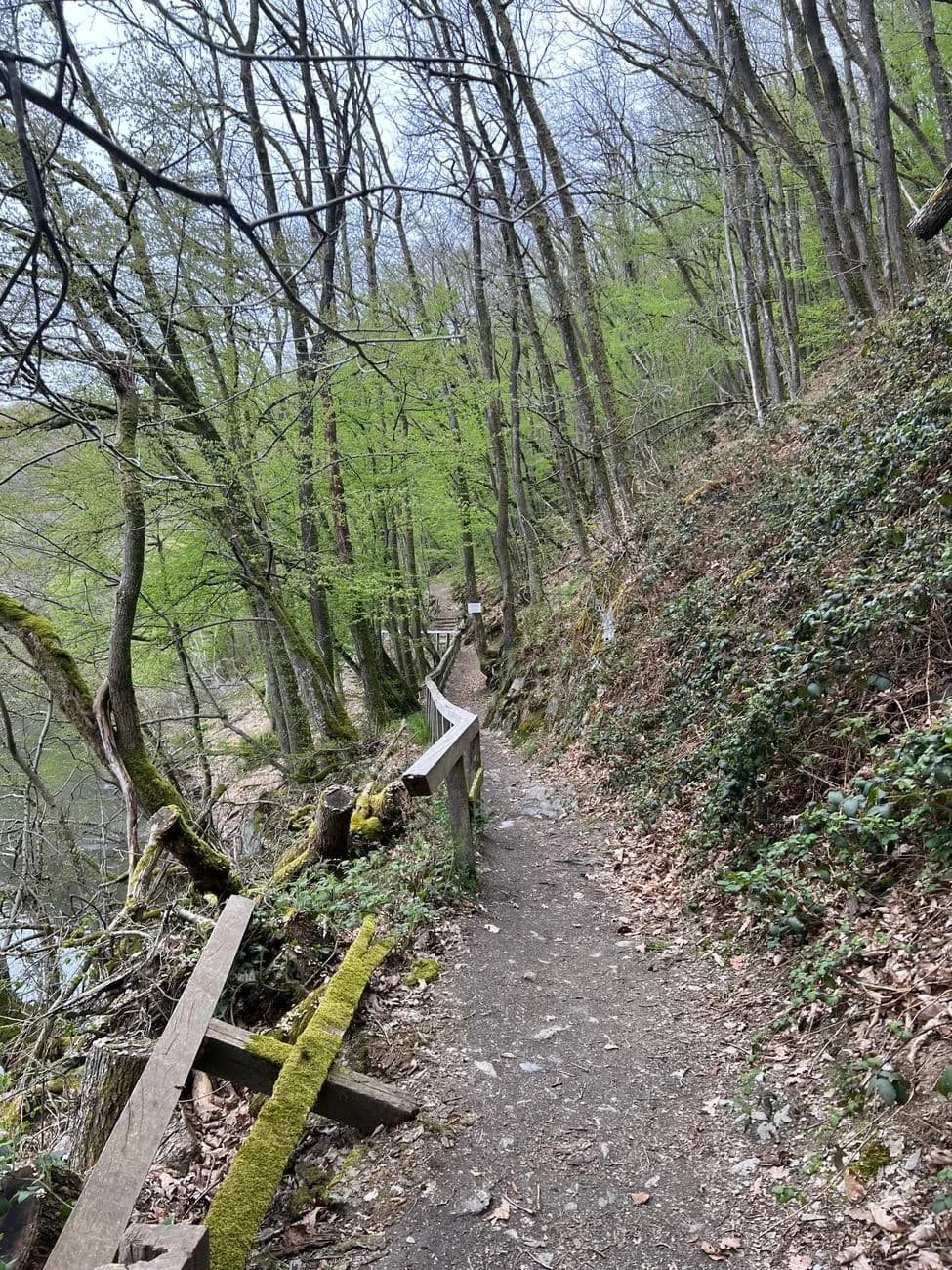 Sentier de terre à flanc de coteau boisé, protégé par une rambarde en bois, au-dessus d'une rivière à La Roche-en-Ardenne