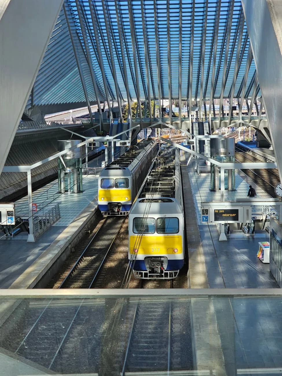 Les quais de la gare de Liège-Guillemins vus d'en haut, deux trains à l'arrêt sous la voûte d'acier et de verre