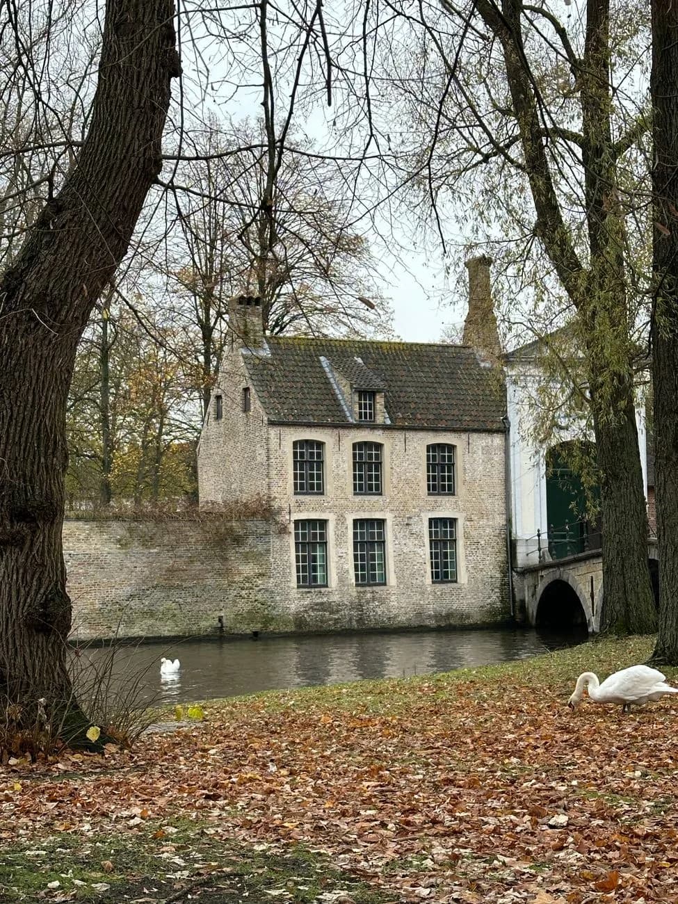 Maison ancienne en brique au bord de l'eau, avec des cygnes et un tapis de feuilles mortes