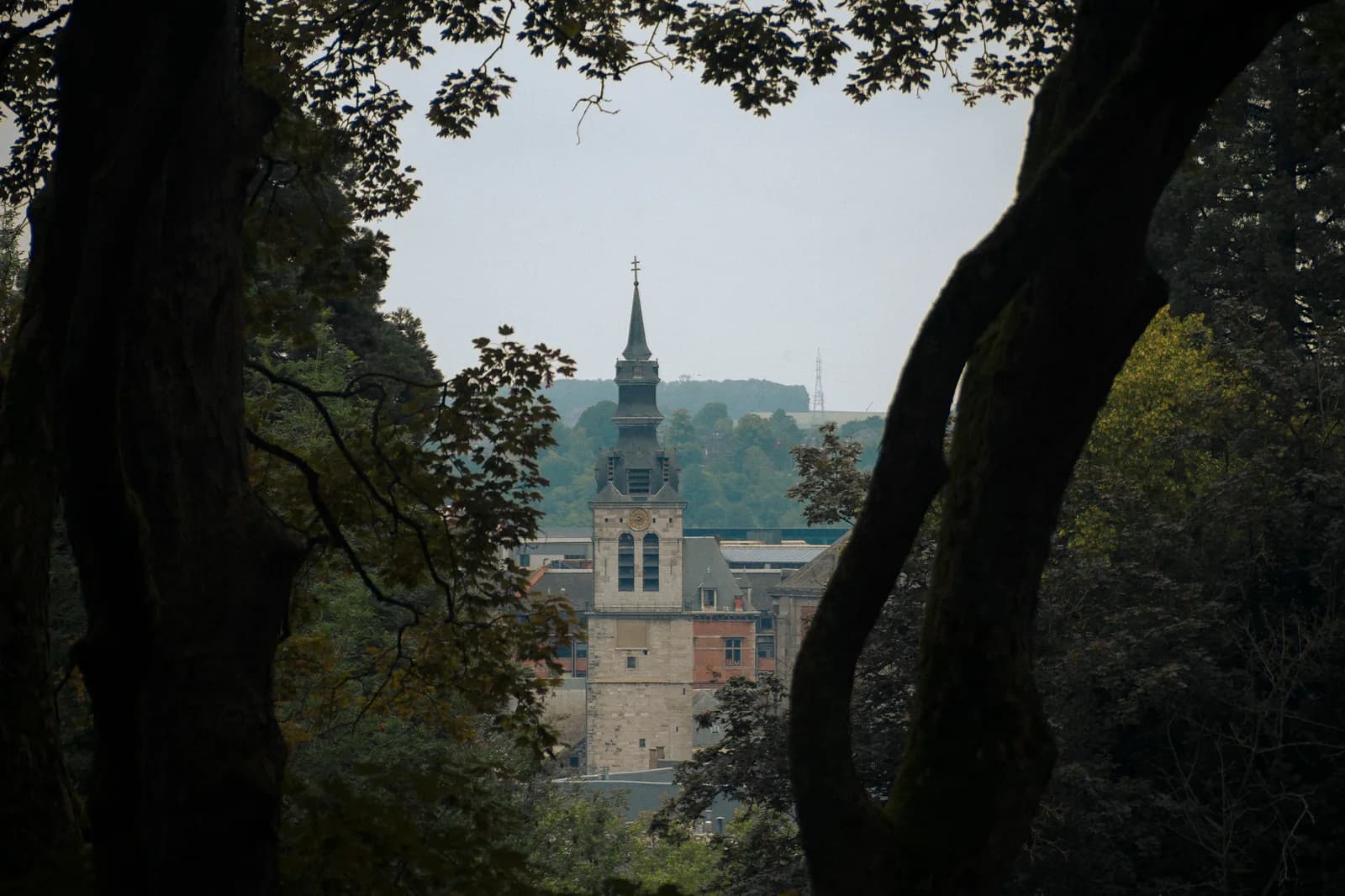 Un clocher de pierre du centre de Namur aperçu entre les troncs et le feuillage du versant boisé de la citadelle