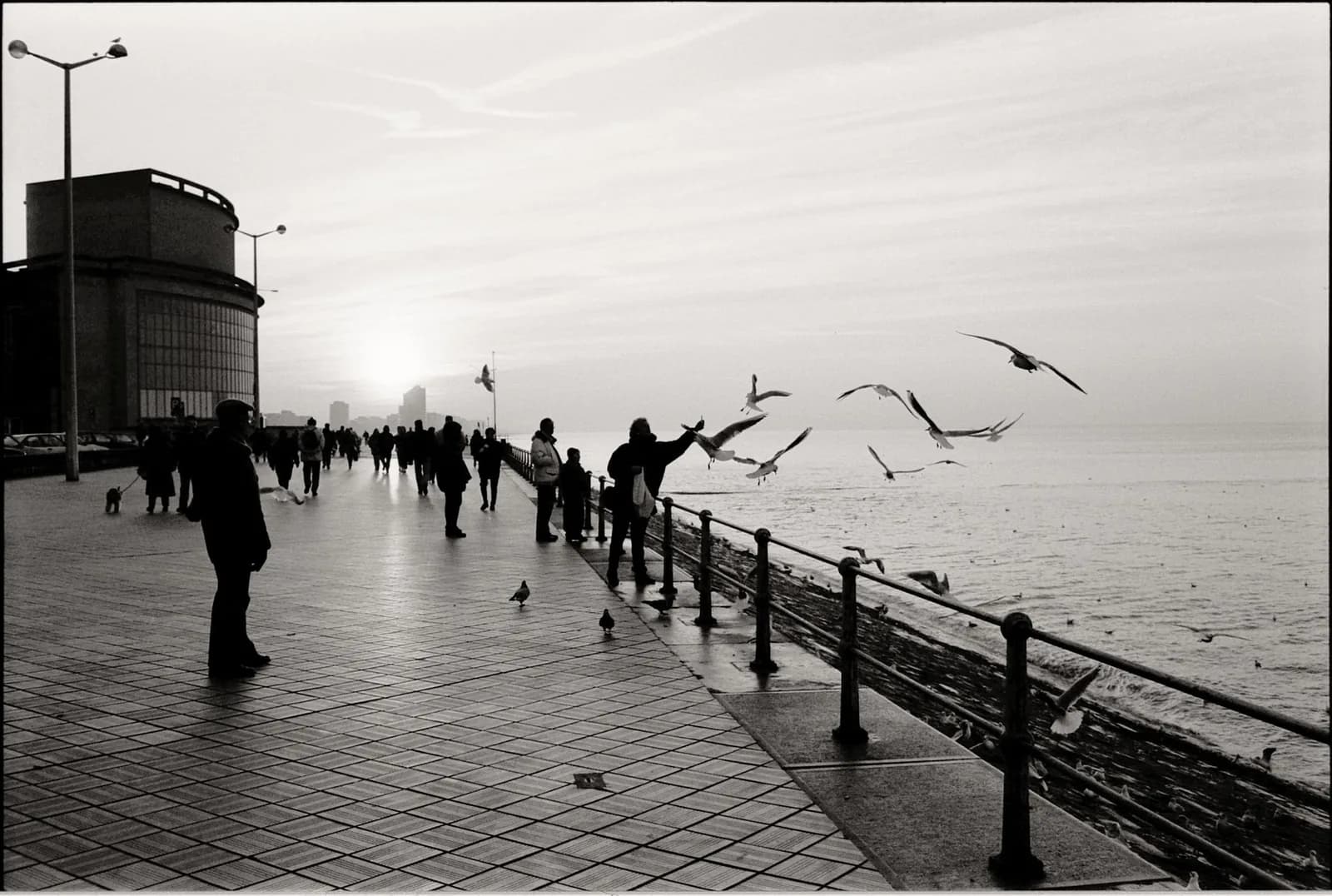 La digue d'Ostende en hiver, en noir et blanc, des passants nourrissant les mouettes le long de la rambarde, le Kursaal sur la gauche