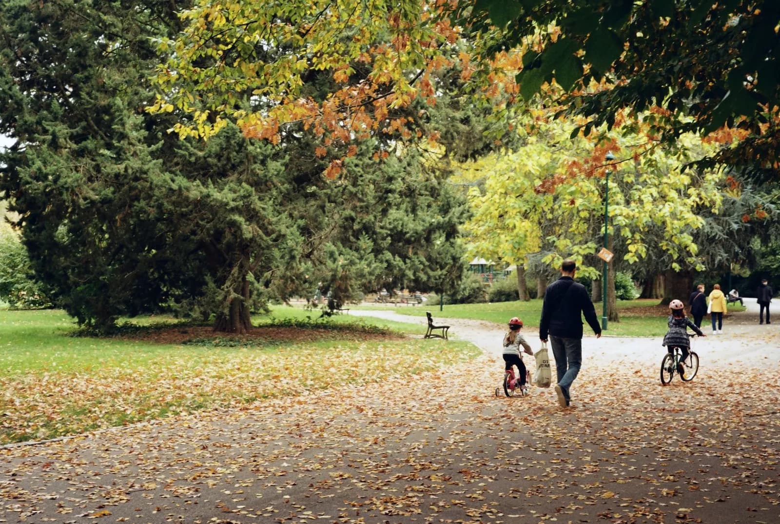 Un père et ses deux enfants à vélo sur une allée de parc couverte de feuilles d'automne