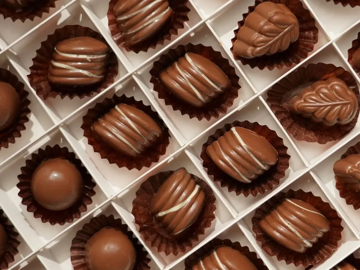 Assortiment de pralines belges au chocolat au lait dans une boîte blanche, vue de dessus